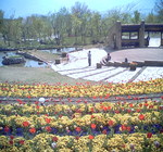 ? 1005033.jpg