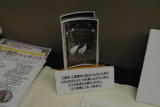 フェスタ県文展示 006 s.jpg